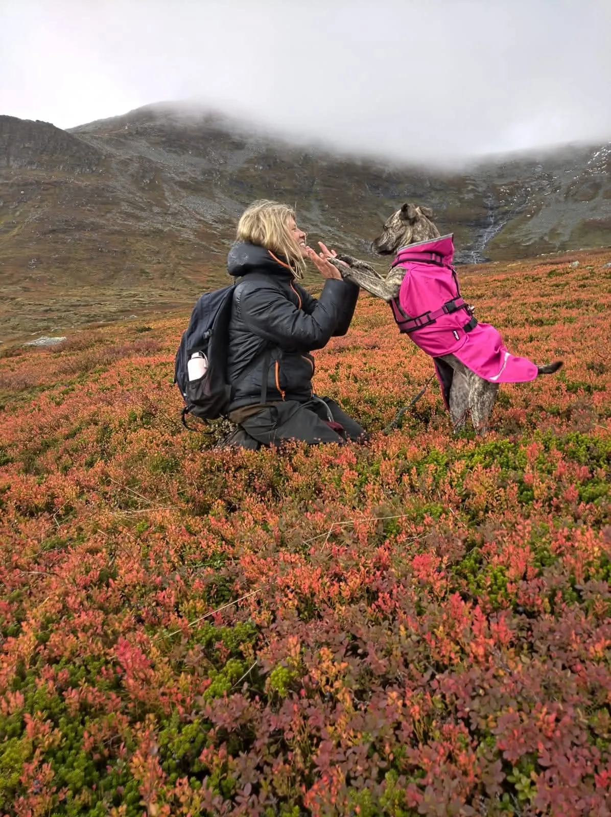 Person och hund i rosa täcke möts på fjället, med tassar mot händer och ett varmt ögonblick mellan dom.