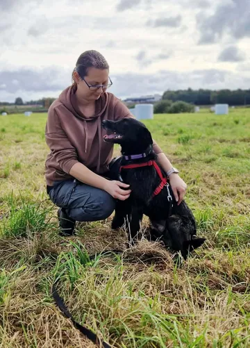 Forest, rescuehund i Polen, bild 14