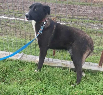 Jax i mittenbild 1