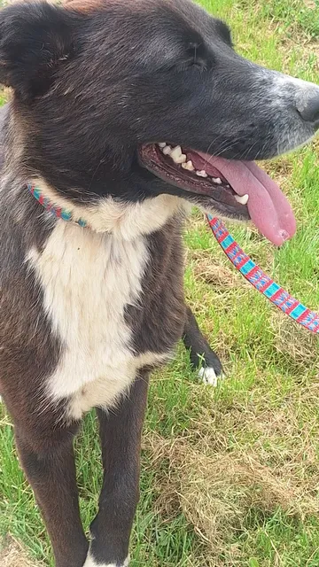 Jax i bildgalleriet