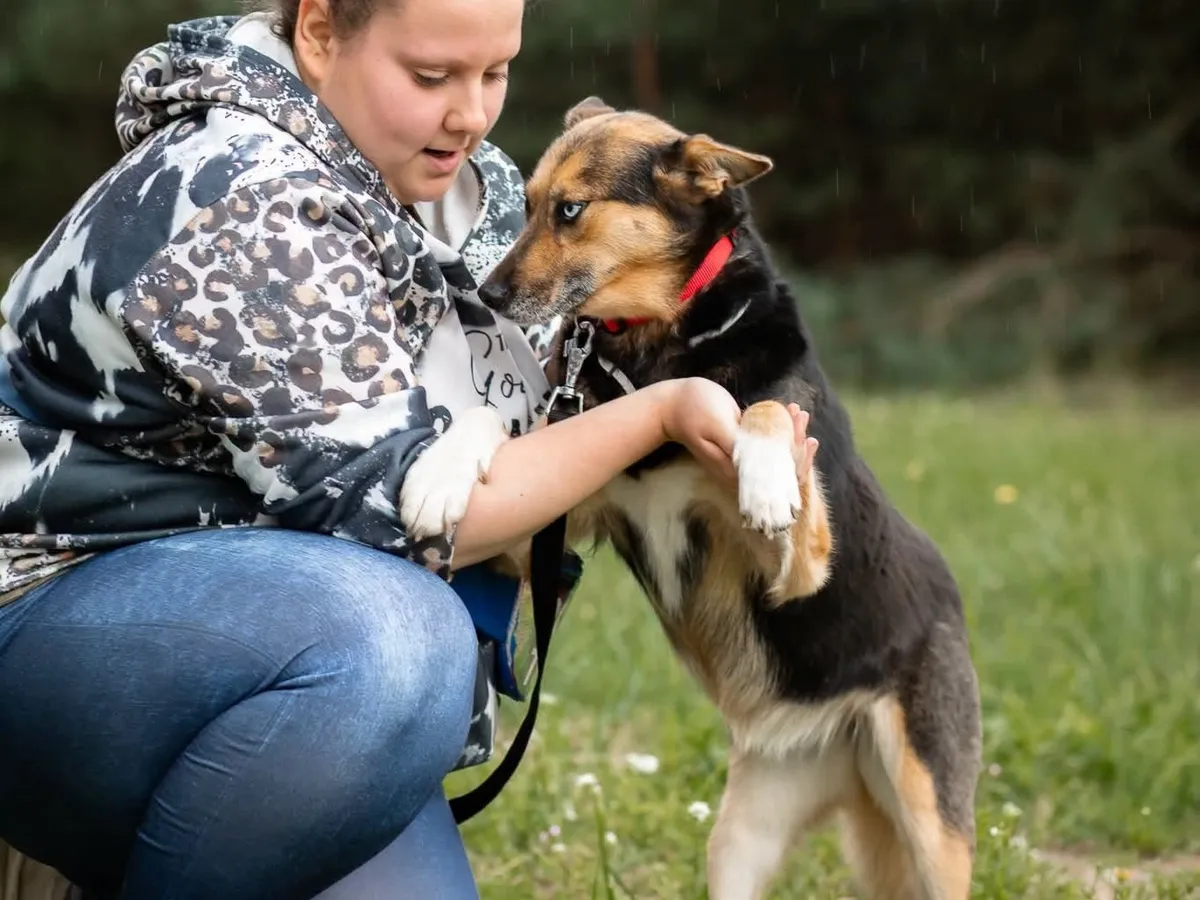 Loka, info kommer som söker hem via Ohana Rescue och finns i Polen