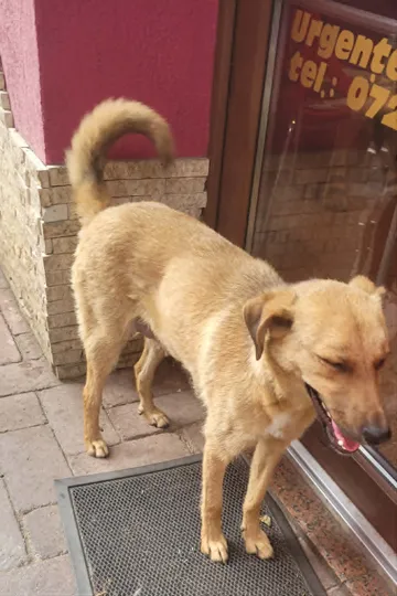 Mabel i bildgalleriet