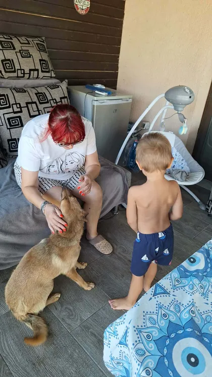 Foto 3 på Mabel, en rescuehund som söker hem