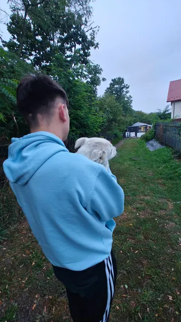 Maja och Kaja, rescuehund i Polen, bild 3