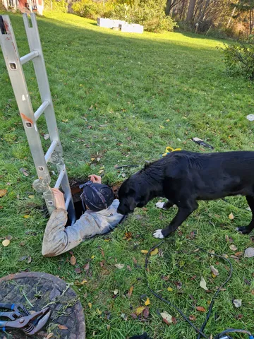 Nero, rescuehund i Skellefteå, bild 15