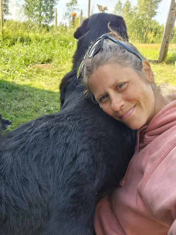 Nero, rescuehund i Skellefteå, bild 28