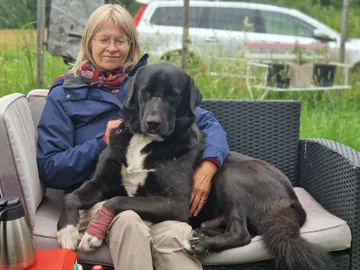 Nero, rescuehund i Skellefteå, bild 31