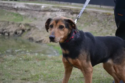Perelka i mittenbild 2