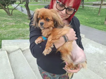 Pipa, rescuehund i Rumänien, bild 2