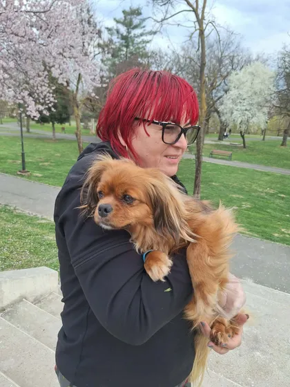 Pipa, rescuehund i Rumänien, bild 1