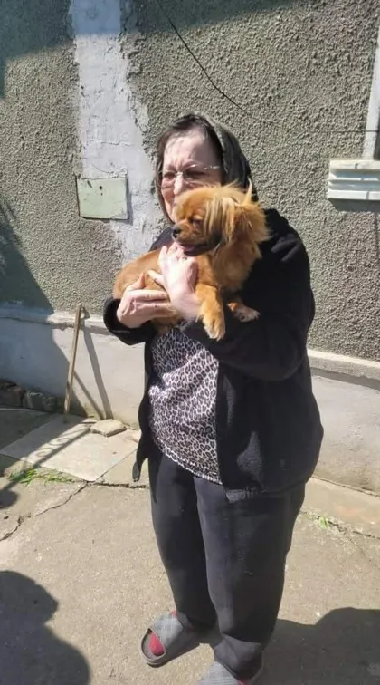 Pipa, rescuehund i Rumänien, bild 2