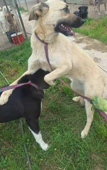 Sandy i bildgalleriet