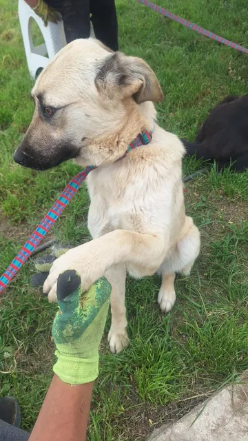 Sandy i bildgalleriet
