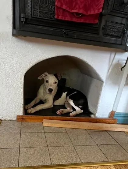 Snusen i mittenbild 3