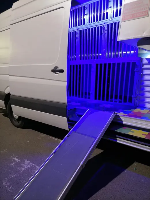 Transportbilen som ska ta fem jourhundar till Sverige