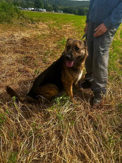 Zeus i mittenbild 2