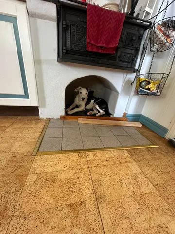 Zture, rescuehund i Jourhem i Enköping, bild 23