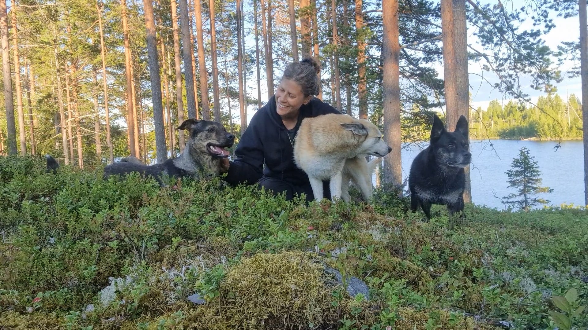En kvinna tillsammans med tre hundar i skogen vid en sjö