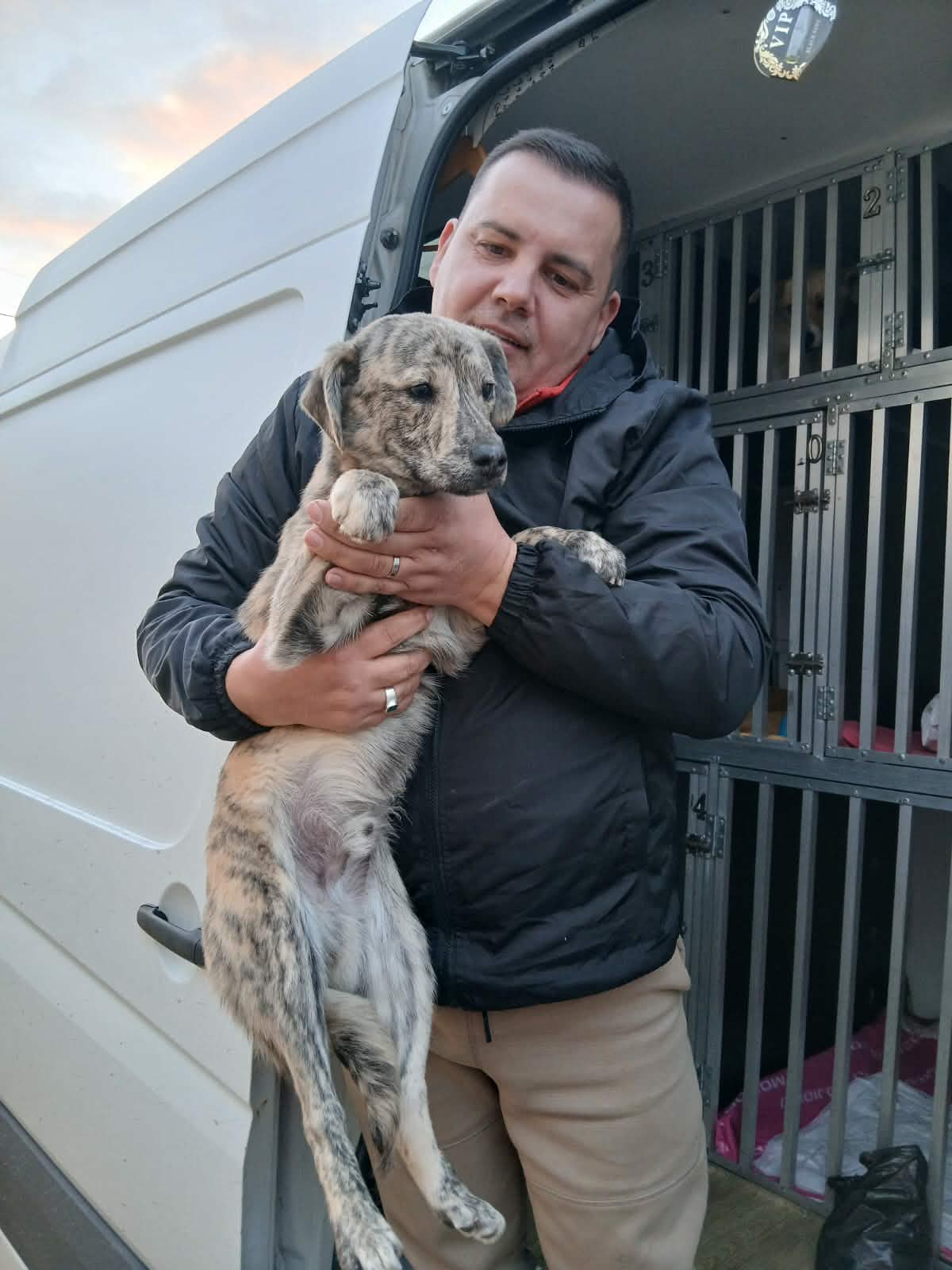 Transportör som håller en hund framför transportburen