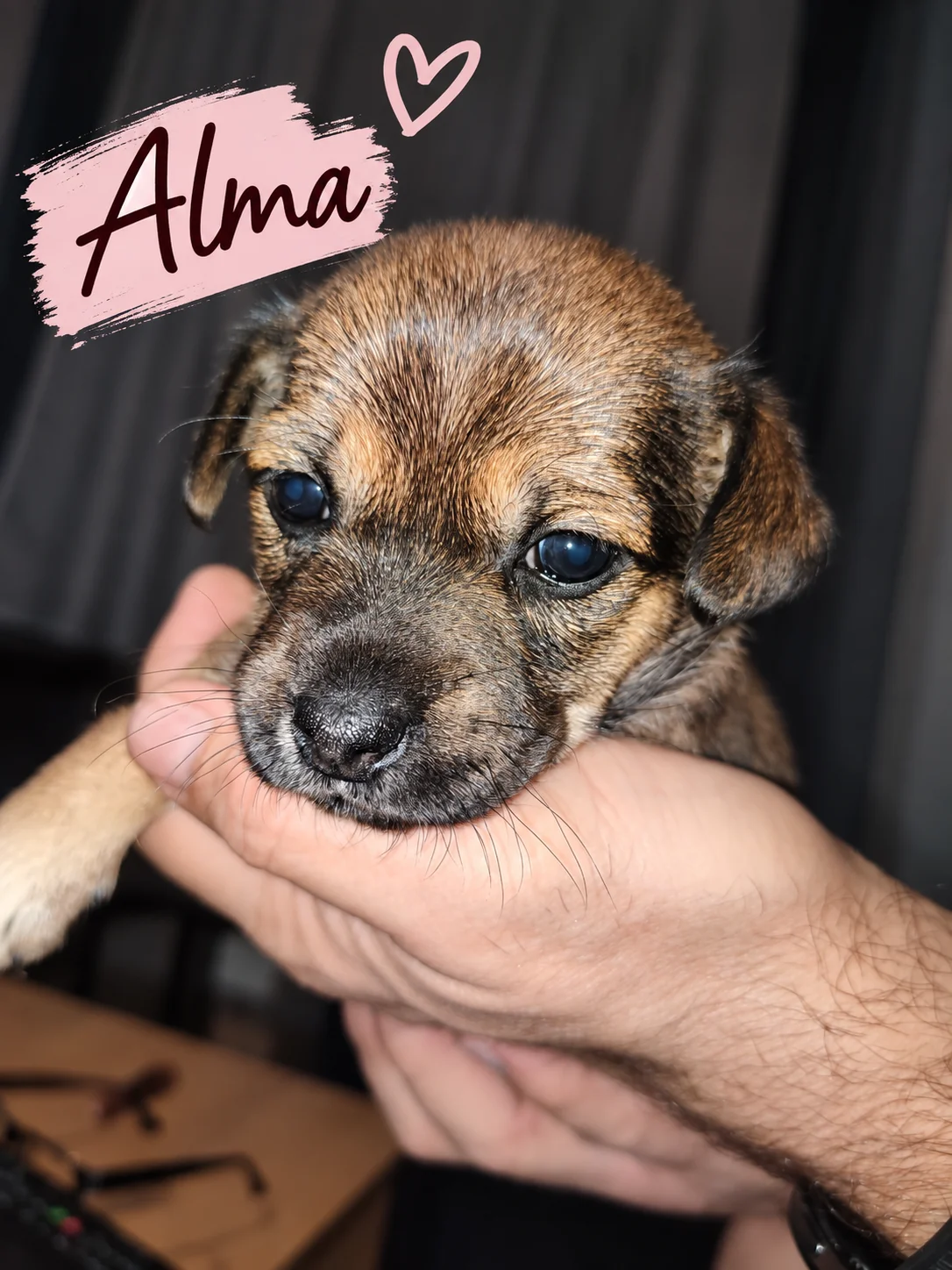 Alma