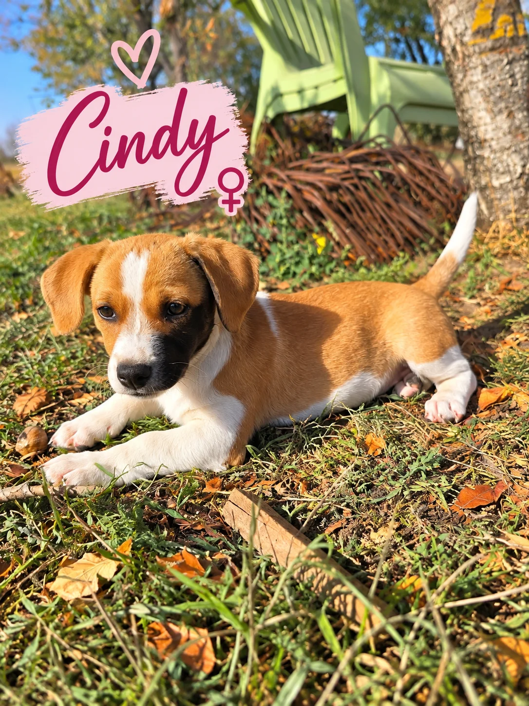 Cindy