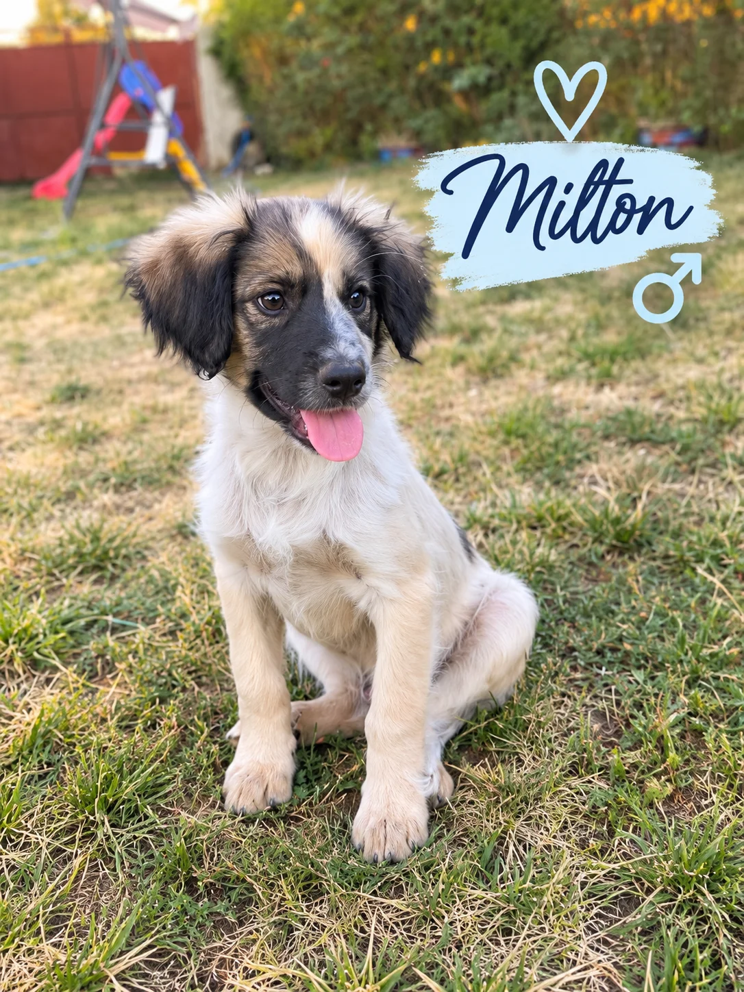 Milton