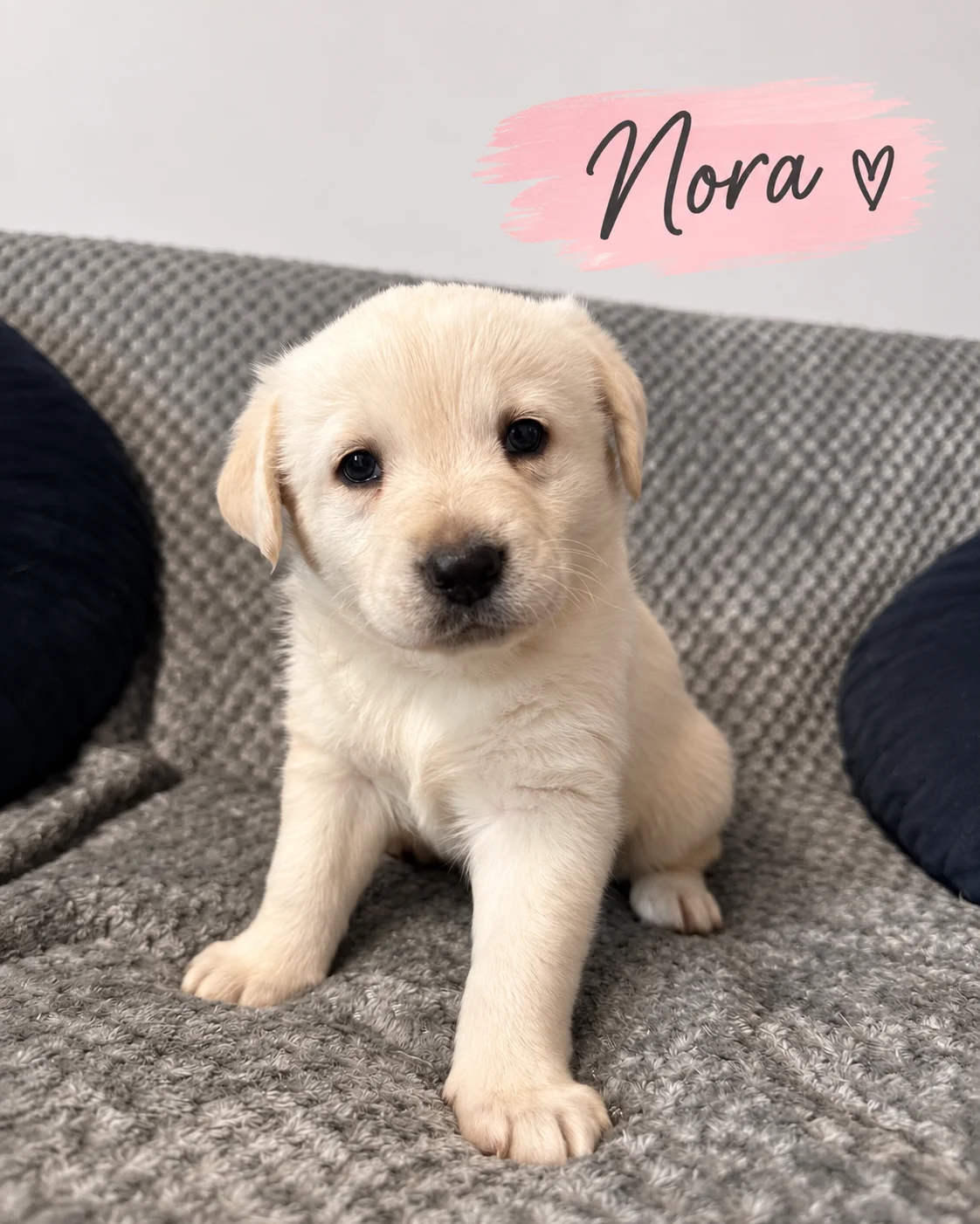 Nora