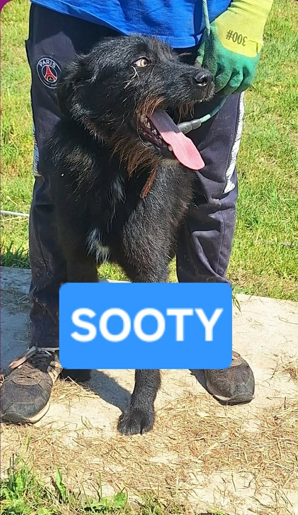 Sooty fotograferad framför en person