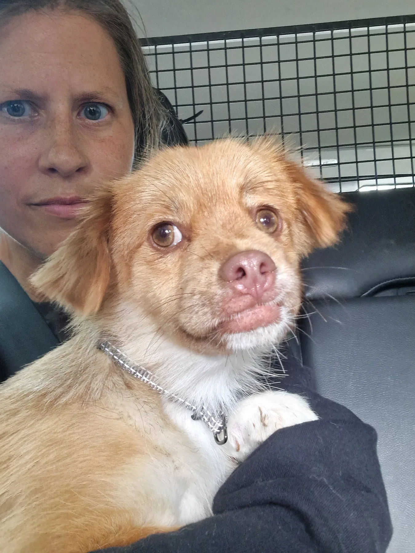 Mira sitter i famnen i bilen på väg mot sitt nya hem