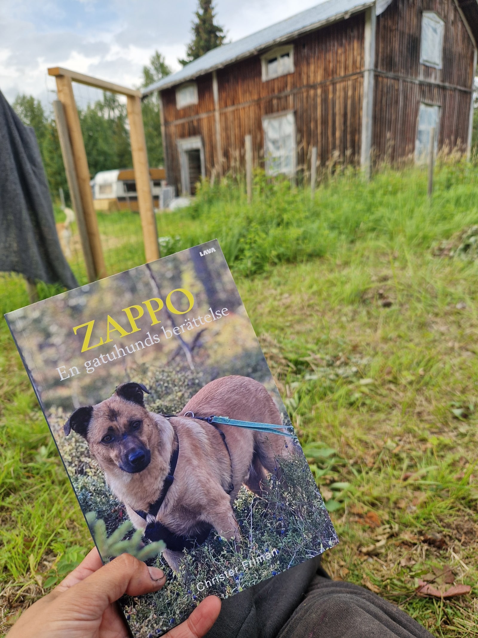 Boken Zappo hålls upp framför ett rött trähus och en grön gård