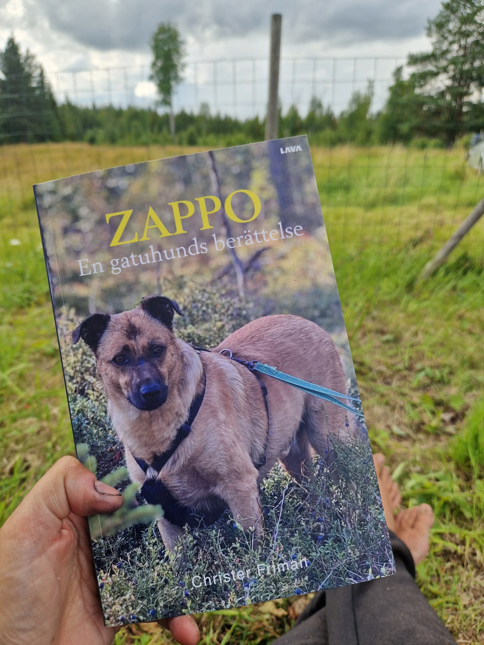 Boken Zappo – En gatuhunds berättelse av Christer Friman, fotograferad utomhus