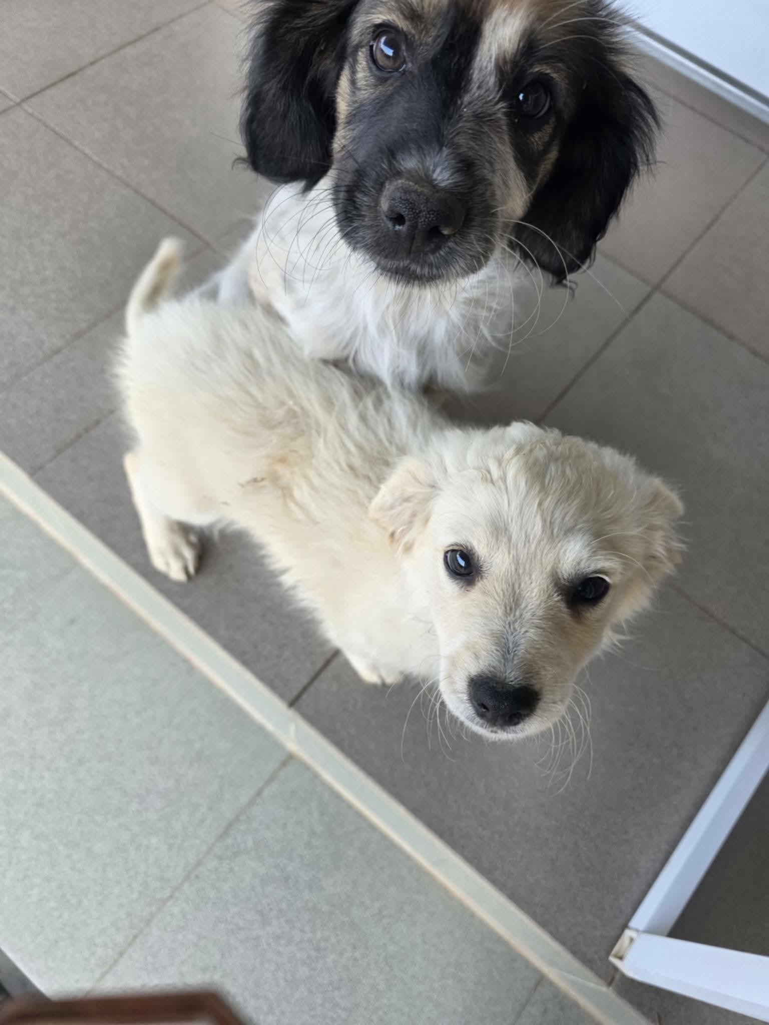Milton och Meija tillsammans i säkerhet
