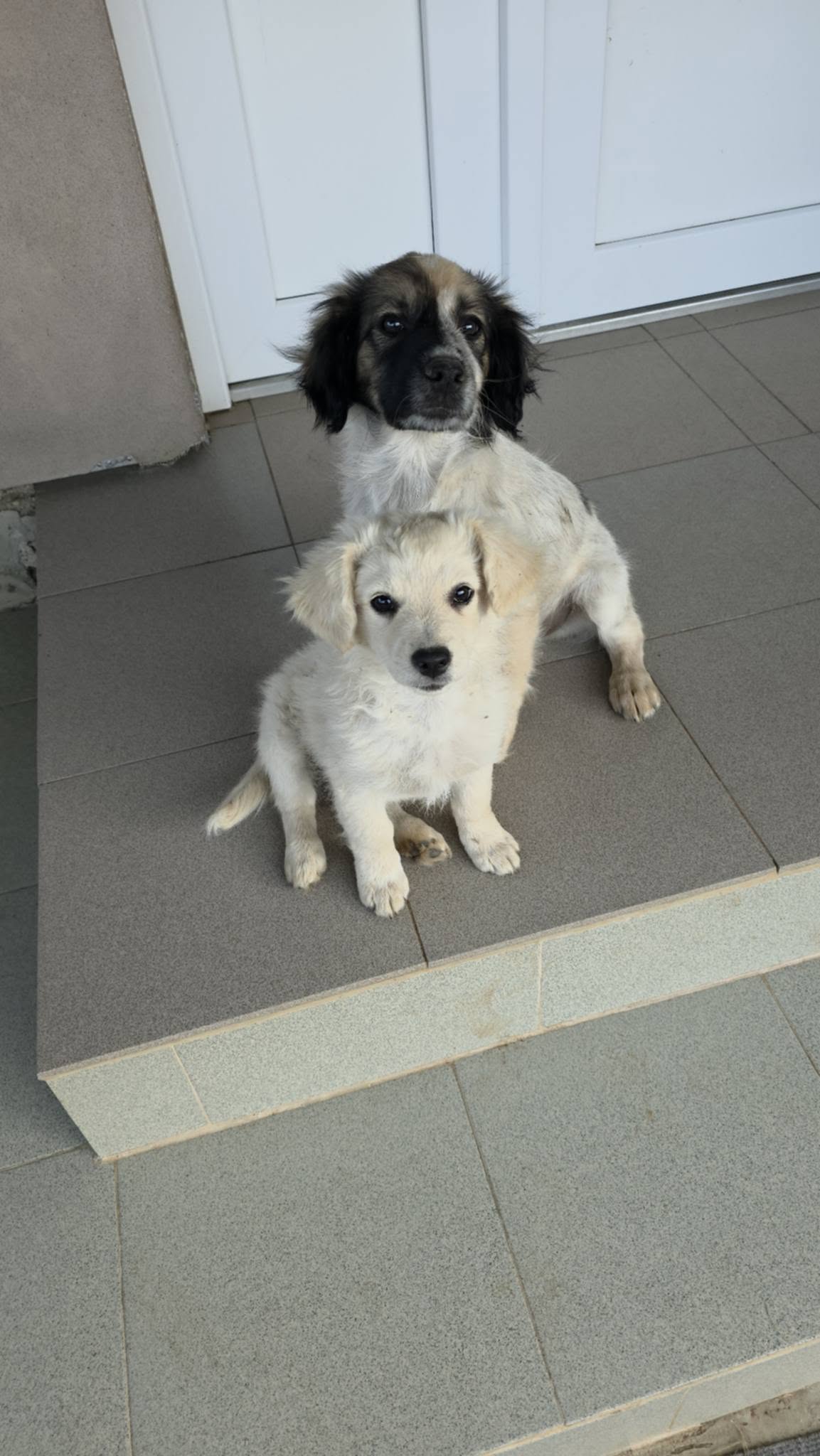 Milton och Meija sitter tillsammans på en trappa