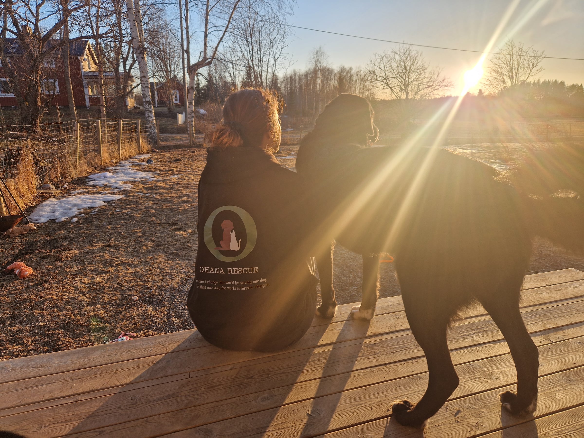 En person i Ohana-tröja tillsammans med två hundar i kvällssolen