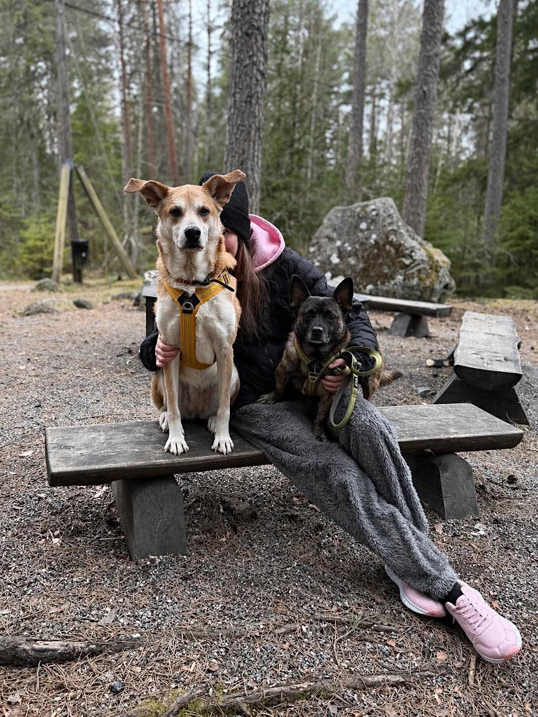 Foto på Zabina